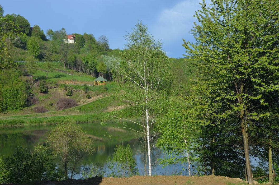 Maja * Wolkowyja